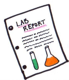 professional lab report writing