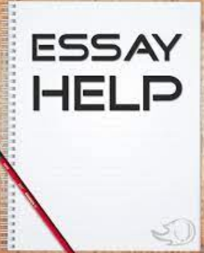 best essay help from professionals