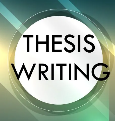 we offer professional thesis writing service