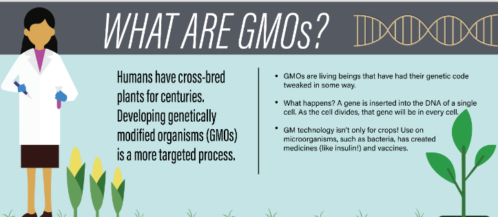 an article about genetically modified organisms