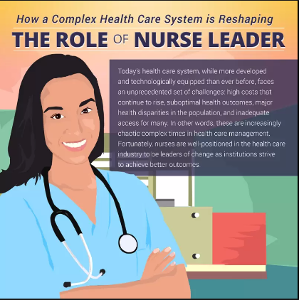 role of a nurse in healthcare delivery