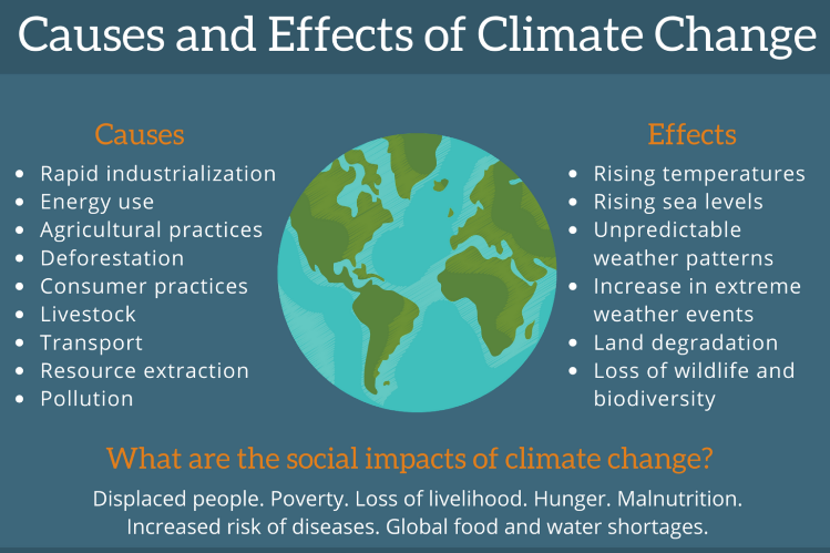 effects of climate change on our planet and how to cope with it