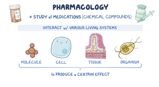 eplanation of the foundation of pharamacology