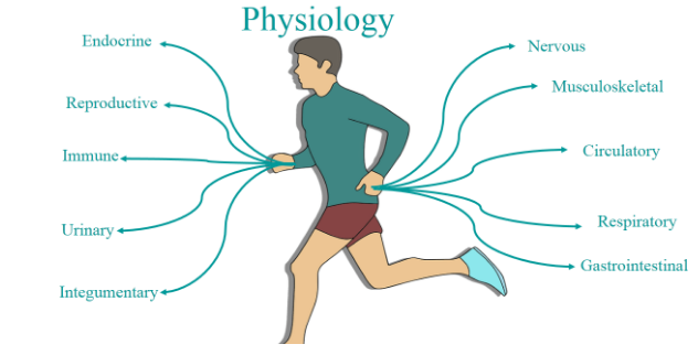 the foundations of physiology