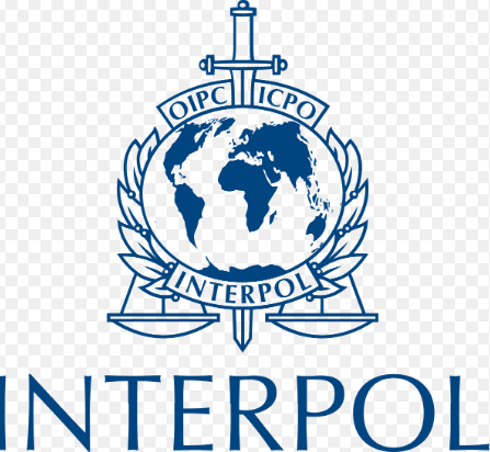 the role of Interpol